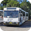 Buses